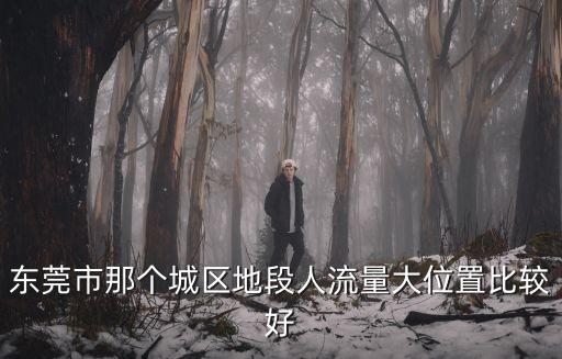 東莞南城人流量最少的地方，東莞市那個城區地段人流量大位置比較好