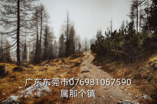 東莞剛果金是那個鎮，廣東東莞市076981067590屬那個鎮