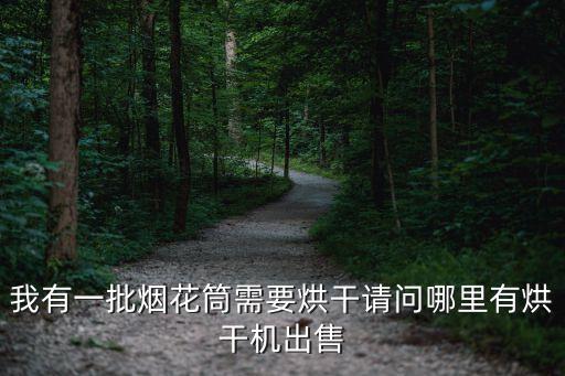 我有一批煙花筒需要烘干請問哪里有烘干機(jī)出售