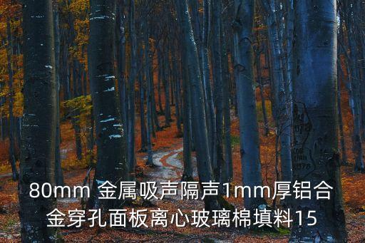 80mm 金屬吸聲隔聲1mm厚鋁合金穿孔面板離心玻璃棉填料15