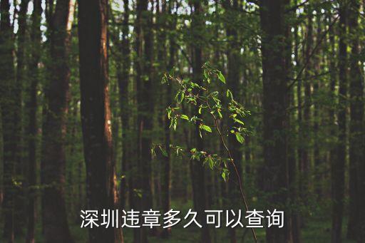 深圳違章多久可查在哪查，深圳車輛違章幾天后可以查詢到