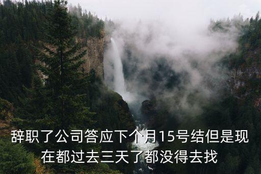 辭職了公司答應(yīng)下個(gè)月15號(hào)結(jié)但是現(xiàn)在都過去三天了都沒得去找