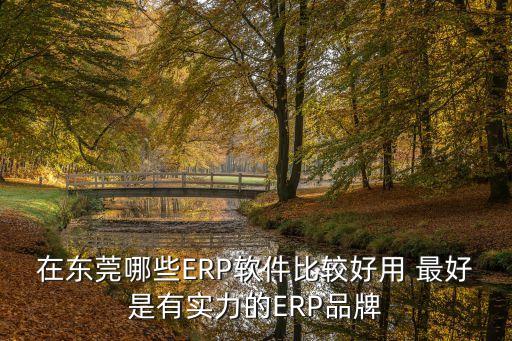 在東莞哪些ERP軟件比較好用 最好是有實力的ERP品牌