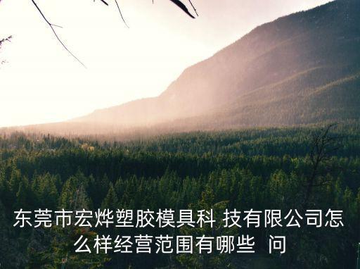 東莞市宏燁塑膠模具科 技有限公司怎么樣經(jīng)營范圍有哪些  問