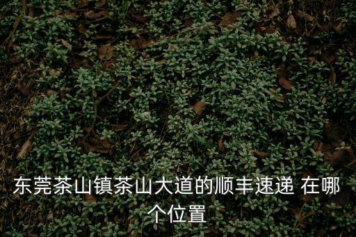 東莞茶山鎮(zhèn)茶山大道的順豐速遞 在哪個位置