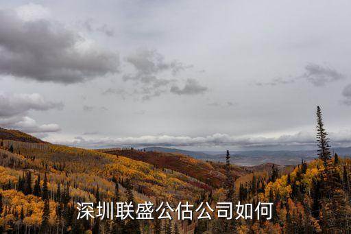 深圳龍崗聯盛科技怎么樣，誰知道深圳龍崗有個叫兄弟的公司怎么樣啊待遇如何