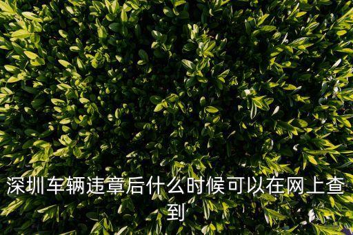 深圳車輛違章后什么時(shí)候可以在網(wǎng)上查到