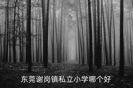 東莞謝崗鎮私立小學哪個好