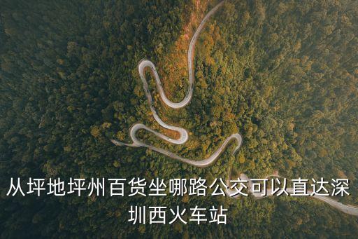 坪洲百貨怎么到深圳，從坪地坪州百貨坐哪路公交可以直達深圳西火車站