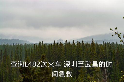 查詢L482次火車 深圳至武昌的時間急救