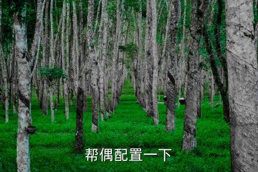 東莞兆高集團，電腦配置價位