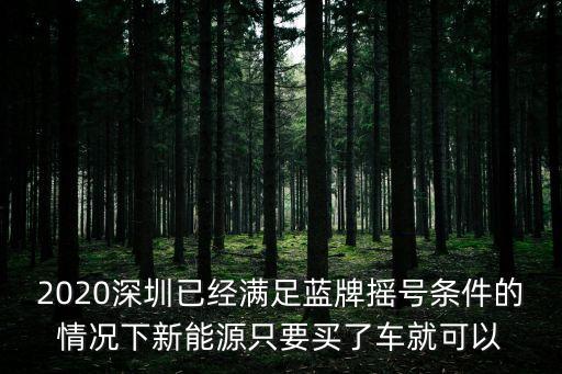 2020深圳已經滿足藍牌搖號條件的情況下新能源只要買了車就可以
