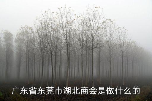 東莞市湖北咸寧商會(huì)地址，廣東省東莞市湖北商會(huì)是做什么的