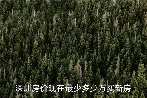深圳房價現(xiàn)在最少多少萬買新房