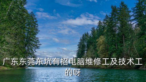 廣東東莞東坑有招電腦維修工及技術(shù)工的呀