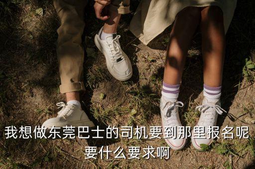 我想做東莞巴士的司機要到那里報名呢要什么要求啊