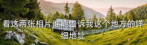 東莞牛墩金牛路蘭苑竹苑小區，看這兩張相片誰能告訴我這個地方的詳細地址
