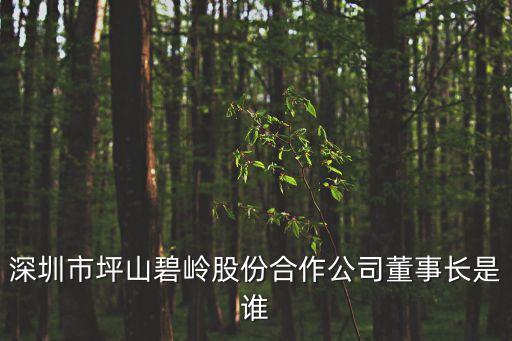 深圳市馬曉軍，深圳市寶安區25區裕安二路華豐商務大廈B座有叫 深圳市長田環保有