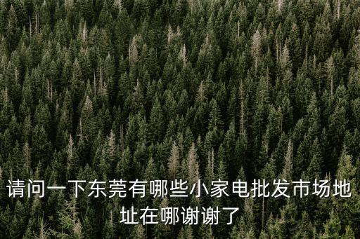 請問一下東莞有哪些小家電批發(fā)市場地址在哪謝謝了