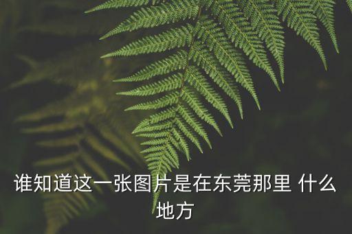 誰(shuí)知道這一張圖片是在東莞那里 什么地方
