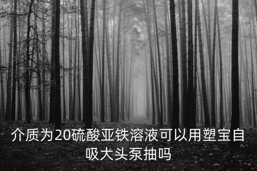 介質為20硫酸亞鐵溶液可以用塑寶自吸大頭泵抽嗎