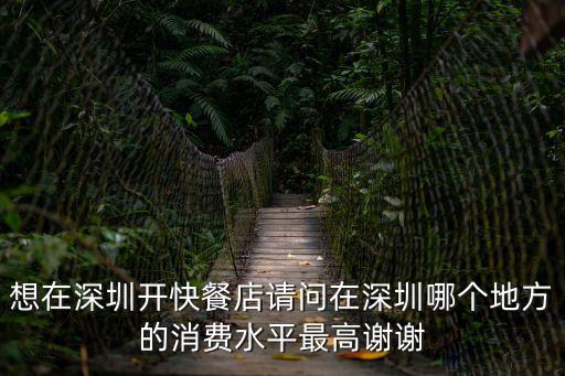 想在深圳開快餐店請問在深圳哪個地方的消費水平最高謝謝