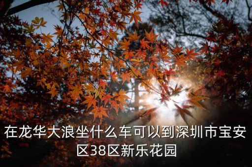 在龍華大浪坐什么車可以到深圳市寶安區(qū)38區(qū)新樂花園