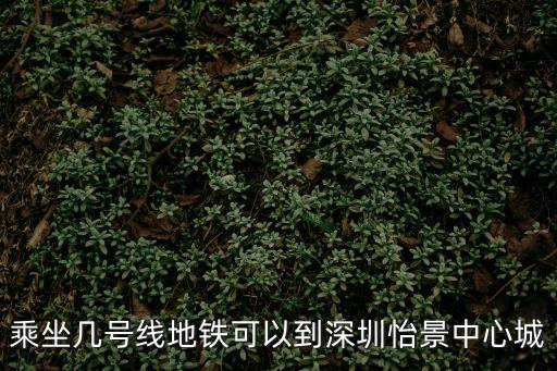 乘坐幾號線地鐵可以到深圳怡景中心城