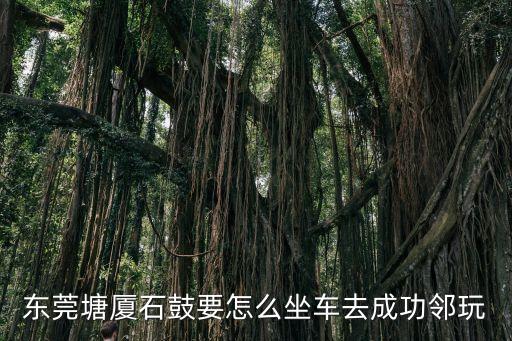 東莞塘廈石鼓要怎么坐車去成功鄰玩