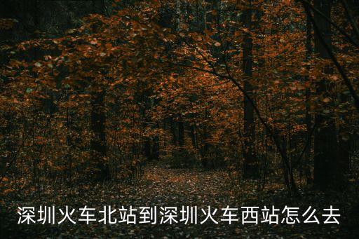 深圳火車北站到深圳火車西站怎么去