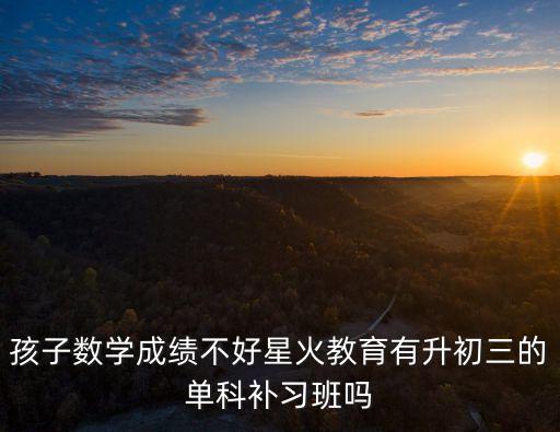 孩子數學成績不好星火教育有升初三的單科補習班嗎