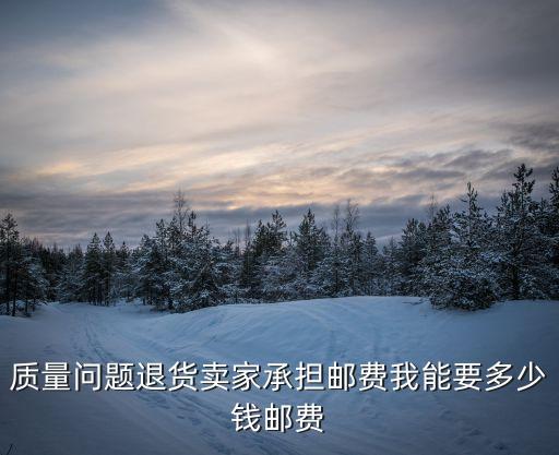 質(zhì)量問題退貨賣家承擔(dān)郵費(fèi)我能要多少錢郵費(fèi)