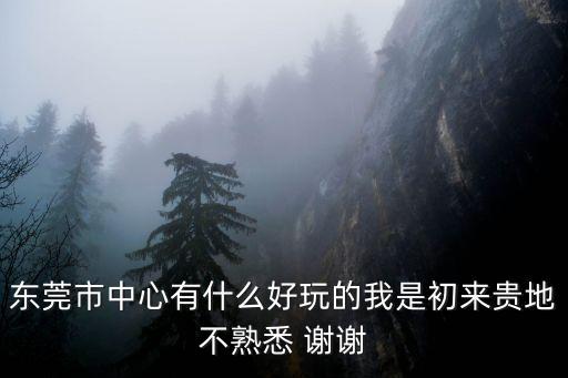 東莞城全景，搜搜街景地圖支持東莞地區全景嗎