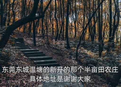 東莞禮紀鎮禮明村，在東莞南城區周溪社區這一片很亂嗎急我要去哪里上班了