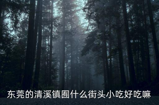 東莞厚街清溪美食街，東莞的清溪鎮(zhèn)囿什么街頭小吃好吃嘛