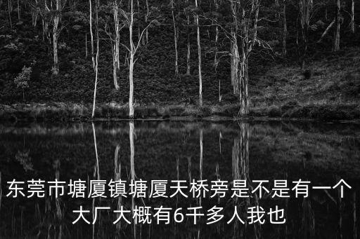 東莞市塘廈鎮塘廈天橋旁是不是有一個大廠大概有6千多人我也