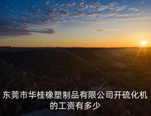 東莞市華桂橡塑制品有限公司開硫化機的工資有多少