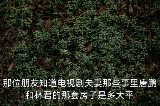 那位朋友知道電視劇夫妻那些事里唐鵬和林君的那套房子是多大平