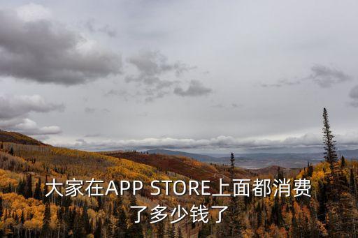 大家在APP STORE上面都消費(fèi)了多少錢(qián)了