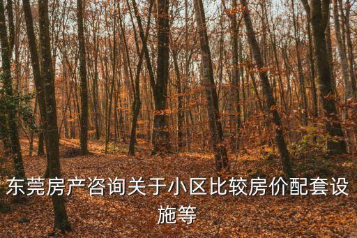 東莞房產咨詢關于小區(qū)比較房價配套設施等