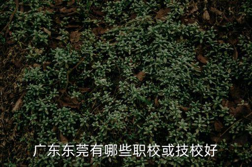 廣東東莞有哪些職校或技校好
