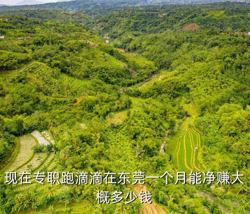 東莞8小時流水線一個月能掙多少，現在專職跑滴滴在東莞一個月能凈賺大概多少錢