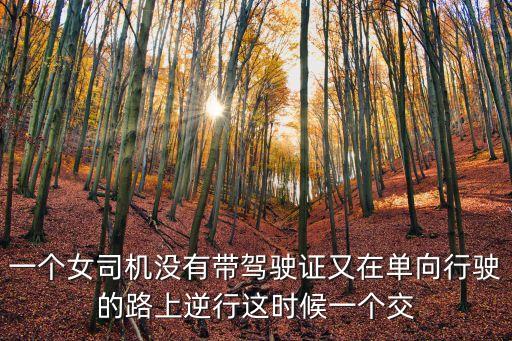一個女司機沒有帶駕駛證又在單向行駛的路上逆行這時候一個交