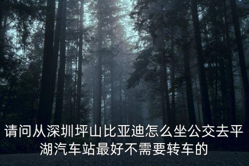 請(qǐng)問從深圳坪山比亞迪怎么坐公交去平湖汽車站最好不需要轉(zhuǎn)車的