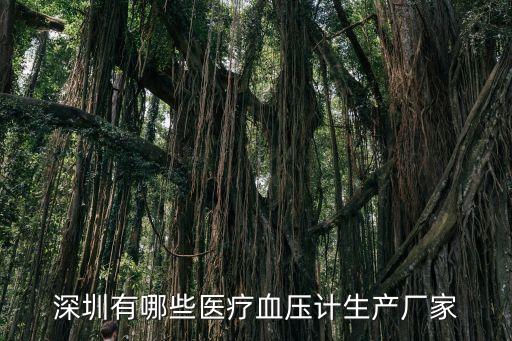 深圳有哪些醫(yī)療血壓計(jì)生產(chǎn)廠家