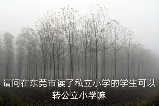 在東莞民辦生能考上公辦學(xué)校嗎，請問在東莞市讀了私立小學(xué)的學(xué)生可以轉(zhuǎn)公立小學(xué)嘛
