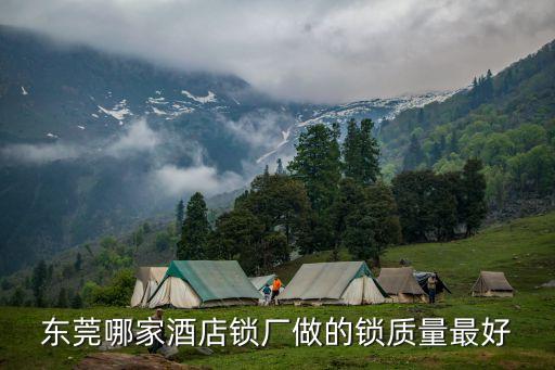 東莞哪家酒店鎖廠做的鎖質(zhì)量最好