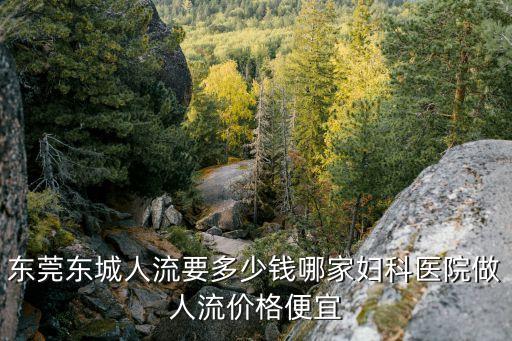 東莞東城非凡全臉線雕價格，東莞東城哪里有教魔術大概多少錢