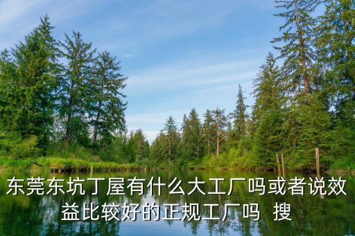 東莞東坑丁屋有什么大工廠嗎或者說效益比較好的正規工廠嗎  搜