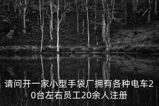 請問開一家小型手袋廠擁有各種電車20臺左右員工20余人注冊